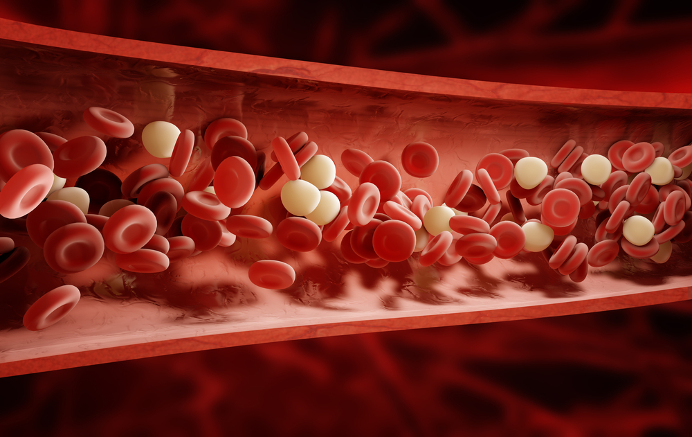 Общий белок крови: норма, причины снижения и повышения - kardiobit.ru